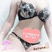 ヒメ日記 2025/11/24 08:39 投稿 ことね consolation