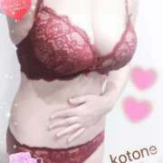 ヒメ日記 2025/11/28 08:47 投稿 ことね consolation