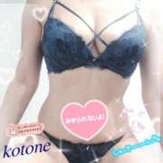 ヒメ日記 2025/11/29 08:48 投稿 ことね consolation