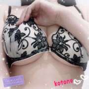 ヒメ日記 2025/12/03 08:48 投稿 ことね consolation