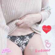 ヒメ日記 2025/12/14 08:42 投稿 ことね consolation