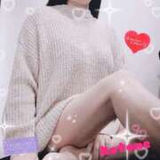 ヒメ日記 2025/12/17 08:44 投稿 ことね consolation