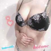 ヒメ日記 2025/12/20 08:53 投稿 ことね consolation