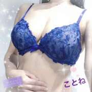 ヒメ日記 2025/12/22 08:52 投稿 ことね consolation