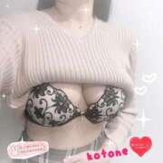 ヒメ日記 2025/12/23 08:50 投稿 ことね consolation