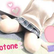 ヒメ日記 2025/12/30 08:37 投稿 ことね consolation