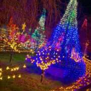 ヒメ日記 2025/12/11 10:57 投稿 ミイ 厚木オイルリンパ性感　厚木メンズエステm