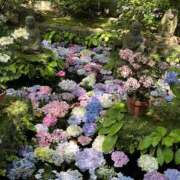 ヒメ日記 2026/06/11 10:08 投稿 ミイ 厚木オイルリンパ性感　厚木メンズエステm