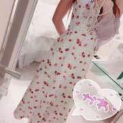 ヒメ日記 2026/03/28 16:49 投稿 るい 東京リップ 秋葉原店