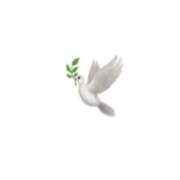 ヒメ日記 2025/07/30 12:48 投稿 ゆいり『ぽっちゃりコース』 素人学園＠