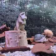 ヒメ日記 2026/04/09 21:03 投稿 ゆい ルージュ(会津若松)