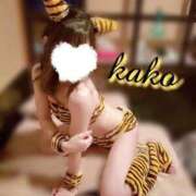 ヒメ日記 2025/10/31 13:22 投稿 かこ sakura