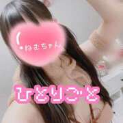 ヒメ日記 2025/01/14 08:09 投稿 ねむ ウルトラハピネス