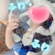 ヒメ日記 2025/04/06 18:11 投稿 ねむ ウルトラハピネス