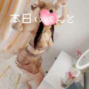 ヒメ日記 2025/04/07 10:19 投稿 ねむ ウルトラハピネス