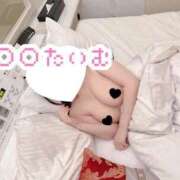 ヒメ日記 2025/07/05 10:19 投稿 ねむ ウルトラハピネス