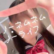 ヒメ日記 2025/07/12 17:09 投稿 ねむ ウルトラハピネス