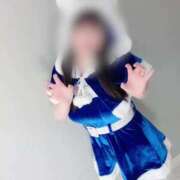 ヒメ日記 2025/09/01 07:09 投稿 ねむ ウルトラハピネス