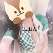 ヒメ日記 2024/12/17 12:15 投稿 しおん Wonder7 (ワンダー7)