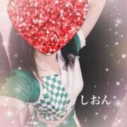 ヒメ日記 2024/12/17 15:57 投稿 しおん Wonder7 (ワンダー7)