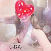 ヒメ日記 2024/12/17 20:15 投稿 しおん Wonder7 (ワンダー7)