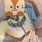 ヒメ日記 2024/12/19 09:47 投稿 しおん Wonder7 (ワンダー7)