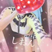 ヒメ日記 2024/12/19 10:42 投稿 しおん Wonder7 (ワンダー7)