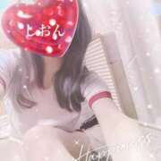 ヒメ日記 2024/12/21 14:17 投稿 しおん Wonder7 (ワンダー7)