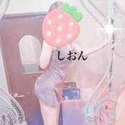 ヒメ日記 2025/01/17 12:38 投稿 しおん Wonder7 (ワンダー7)