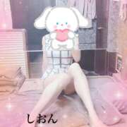 ヒメ日記 2025/01/22 12:05 投稿 しおん Wonder7 (ワンダー7)