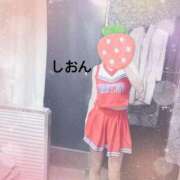 ヒメ日記 2025/01/25 09:46 投稿 しおん Wonder7 (ワンダー7)