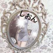 ヒメ日記 2025/02/12 12:03 投稿 しおん Wonder7 (ワンダー7)