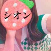 ヒメ日記 2025/02/13 16:15 投稿 しおん Wonder7 (ワンダー7)