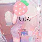 ヒメ日記 2025/02/28 10:26 投稿 しおん Wonder7 (ワンダー7)