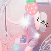 ヒメ日記 2025/02/28 11:29 投稿 しおん Wonder7 (ワンダー7)