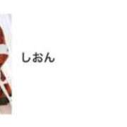 ヒメ日記 2025/03/17 13:59 投稿 しおん Wonder7 (ワンダー7)