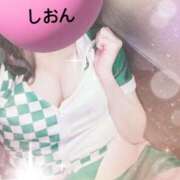 ヒメ日記 2025/03/20 10:17 投稿 しおん Wonder7 (ワンダー7)