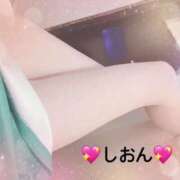 ヒメ日記 2025/03/20 15:02 投稿 しおん Wonder7 (ワンダー7)