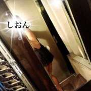 ヒメ日記 2025/03/27 10:19 投稿 しおん Wonder7 (ワンダー7)