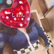 ヒメ日記 2025/03/29 15:53 投稿 しおん Wonder7 (ワンダー7)