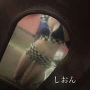 ヒメ日記 2025/03/29 21:41 投稿 しおん Wonder7 (ワンダー7)