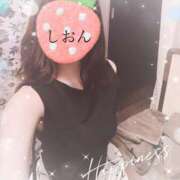 ヒメ日記 2025/03/31 07:57 投稿 しおん Wonder7 (ワンダー7)