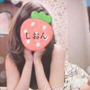 ヒメ日記 2025/03/31 08:07 投稿 しおん Wonder7 (ワンダー7)