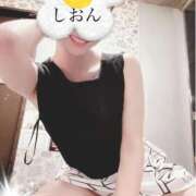 ヒメ日記 2025/03/31 09:21 投稿 しおん Wonder7 (ワンダー7)