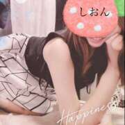 ヒメ日記 2025/04/03 08:35 投稿 しおん Wonder7 (ワンダー7)