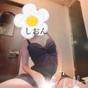 ヒメ日記 2025/04/03 14:34 投稿 しおん Wonder7 (ワンダー7)