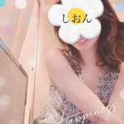 ヒメ日記 2025/04/04 08:20 投稿 しおん Wonder7 (ワンダー7)