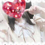 ヒメ日記 2025/04/04 15:17 投稿 しおん Wonder7 (ワンダー7)