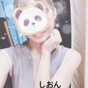 ヒメ日記 2025/04/06 19:29 投稿 しおん Wonder7 (ワンダー7)