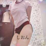 ヒメ日記 2025/04/07 09:42 投稿 しおん Wonder7 (ワンダー7)